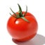 画像 tomatoのブログのユーザープロフィール画像