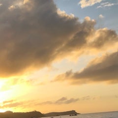 リーボのプロフィール