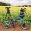 画像 ゆるぽた専門のユーザープロフィール画像