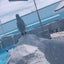 寧々のサムネイル