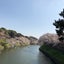 Nobuyukiのサムネイル