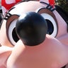 トッティのプロフィール