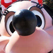 トッティのおすすめのサムネイル