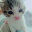 旨子のサムネイル
