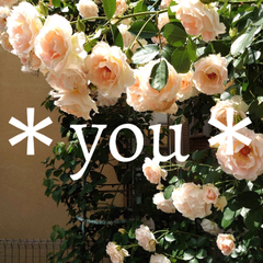 ＊you＊のプロフィール