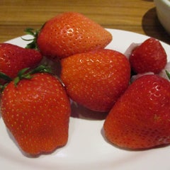 リーフェイのプロフィール