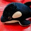 シャチ子のサムネイル