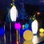 ひげぺんぎんのサムネイル