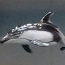 みらっころのプロフィール
