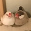 エリスのサムネイル