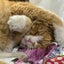 さぶやんのサムネイル