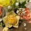anne-rose45のサムネイル
