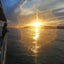 画像 明石海峡タイラバ釣行記のユーザープロフィール画像
