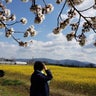 英語しっかりサポ プラスワン　学習修行中📝のプロフィール