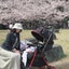 p-aoko80のサムネイル
