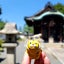 橘のサムネイル