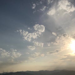 ももふくのプロフィール