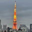 40bbaのサムネイル