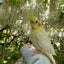 noritsuuのサムネイル