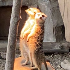 ヤチヲおじさんのプロフィール