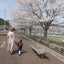 なぎままのサムネイル