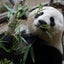 みんなのママのサムネイル