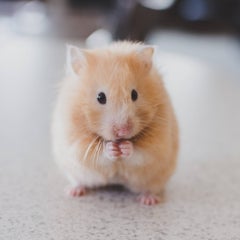 WEBライターで1人暮らしマンのプロフィール