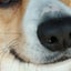 mo_ochikoのサムネイル