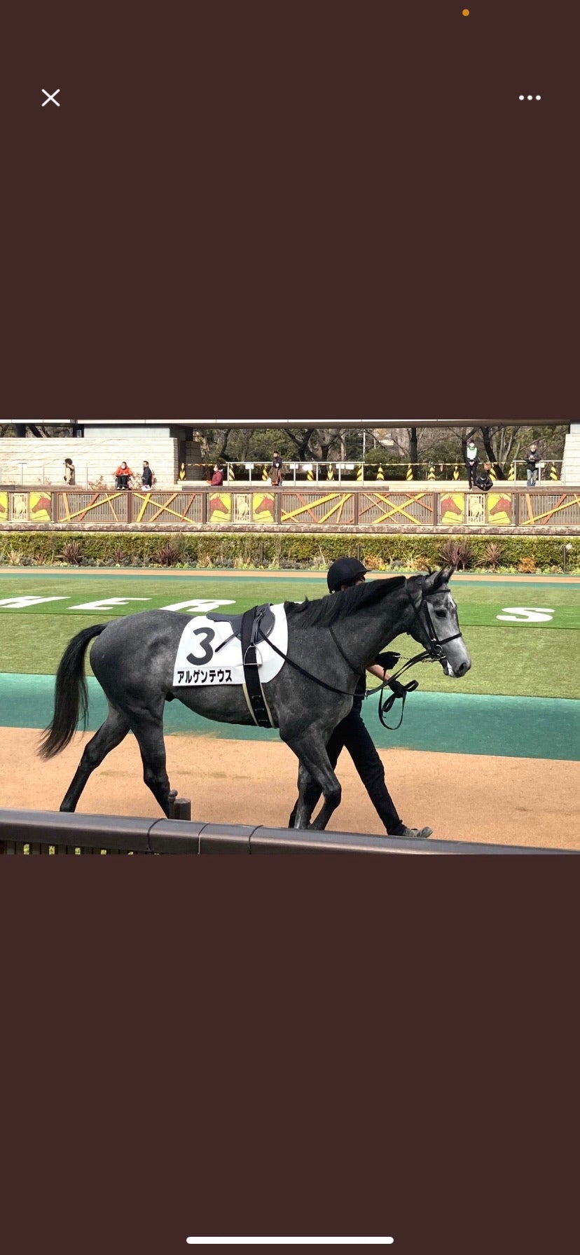 マルクパージュデビュー予定発表されたーー(臨時更新お知らせ) 笑顔一口馬主ブログ