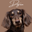 【Dogram】愛犬家のための犬専門写真館