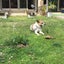 マユミのサムネイル