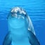 イルカのサムネイル