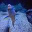 みりんのサムネイル