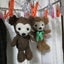 Miyamacchii★のサムネイル