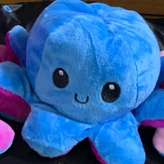 こちゃんのプロフィール
