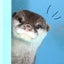 ぼーやのサムネイル