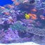 meiのサムネイル