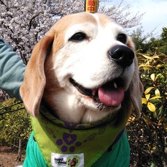 minokuraのプロフィール