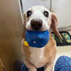 YUKOのプロフィール