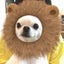 りえはなのサムネイル