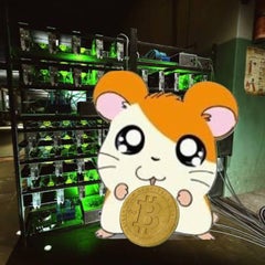 びっとこ！ファム太郎のプロフィール