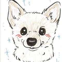 spnakanoのプロフィール