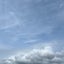 hana06042022のサムネイル