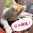 猫好きな大人リーナが舞台で踊る