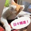 画像 猫好きな大人リーナが舞台で踊るのユーザープロフィール画像
