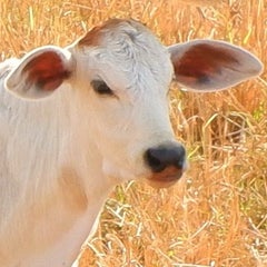 dokosolaのプロフィール
