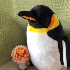 らなちゃんのプロフィール
