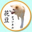 画像 秋田犬の魅力を発信するブログのユーザープロフィール画像