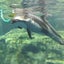 まゆみぃぬのサムネイル