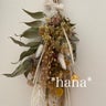 *hana*のプロフィール